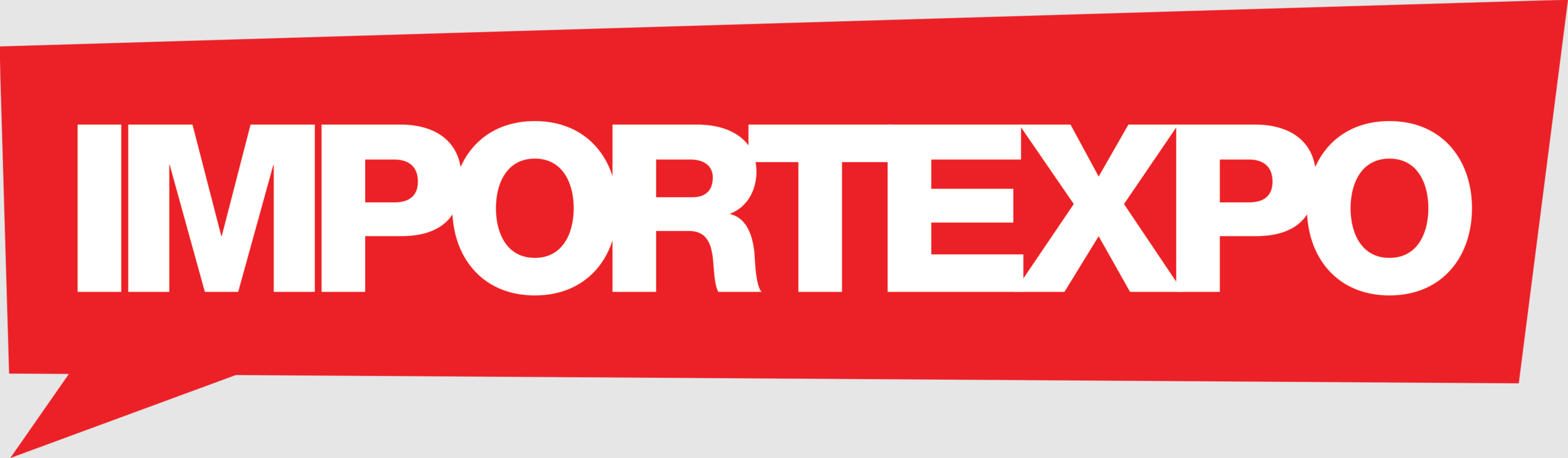 ImportExpo Night After Event 2024 cover